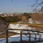 さきたま古墳公園　丸墓山古墳 石田堤 DSC_0095