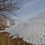 さきたま古墳公園　丸墓山古墳 石田堤 DSC_0105