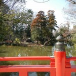 武蔵一宮　氷川神社 DSCN3682