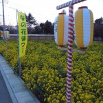 2014年4月5日（土）6日（日）は、埼玉県北本市で「なのはな祭」開催DSCN4226
