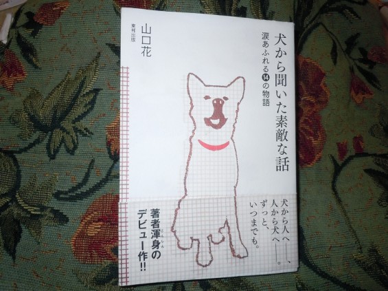 最近読んで面白かった本ベスト5 犬から聞いた素敵な話 山口花