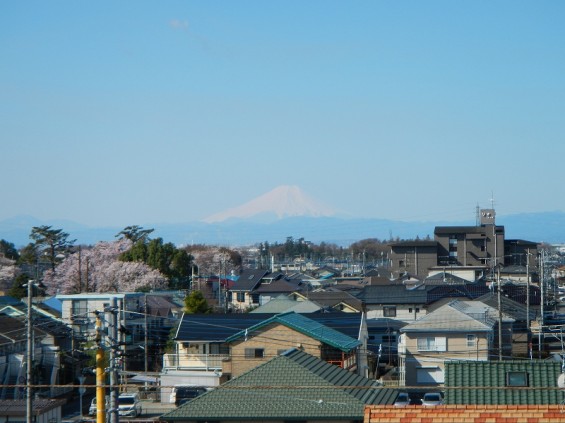 20140331 桜と富士山DSCN4238