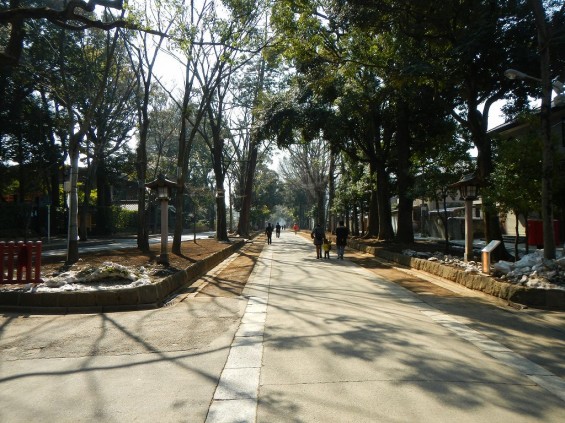 武蔵一宮　氷川神社 DSCN3696