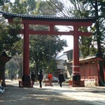 武蔵一宮　氷川神社 DSCN3693