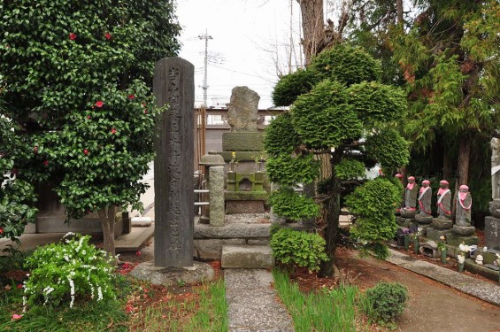 20140404　埼玉県行田市佐間　高源寺の桜が満開　正木丹波守利英公墓所DSC_0353