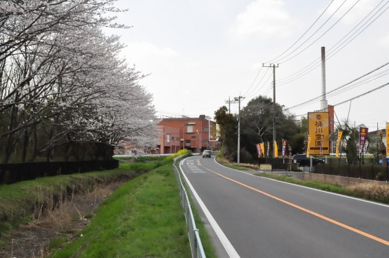 埼玉県桶川市　桶川霊園に行ってきましたDSC_0405