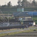 20140401 埼玉県さいたま市桜区 「鴨川堤桜通り公園」の桜と「うらわ秋ヶ瀬霊園」DSC_0346