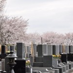 20140402　埼玉県東松山市　森林公園昭和浄苑　桜満開DSC_0620