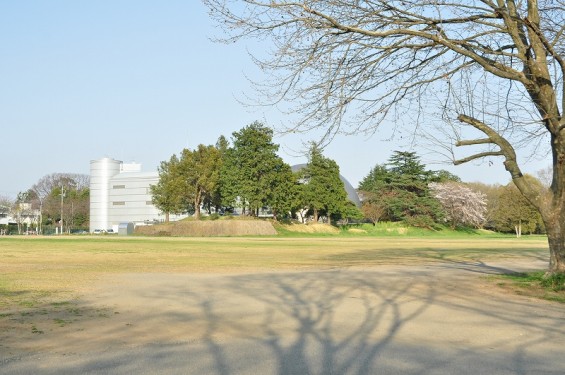 群馬県館林市　館林城　本丸土塁跡 DSC_0154