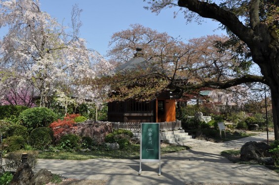 20140411　埼玉県上尾市今泉　十連寺さまの境内DSC_0138