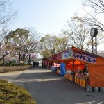 群馬県館林市の「こいのぼりの里まつり」DSC_0061