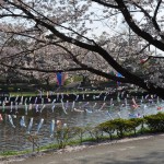 群馬県館林市の「こいのぼりの里まつり」DSC_0113