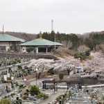 20140402　埼玉県東松山市　森林公園昭和浄苑　桜満開DSC_0605