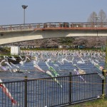 群馬県館林市の「こいのぼりの里まつり」DSC_0088