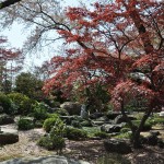 20140411　埼玉県上尾市今泉　十連寺さまの境内DSC_0112