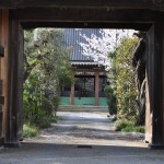 20140406　埼玉県蓮田市閏戸　秀源寺　山門　桜DSC_0020