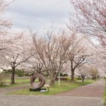 20140404　埼玉県さきたま緑道の桜DSC_0337