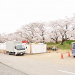 20140402　埼玉県北本市　桜堤（桜土手）の満開の桜DSC_0545