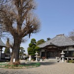 20140401 埼玉県上尾市中分 東栄寺 桜満開ですDSC_0018