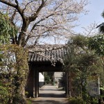 20140331 埼玉県蓮田市閏戸 秀源寺 桜満開DSC_0005