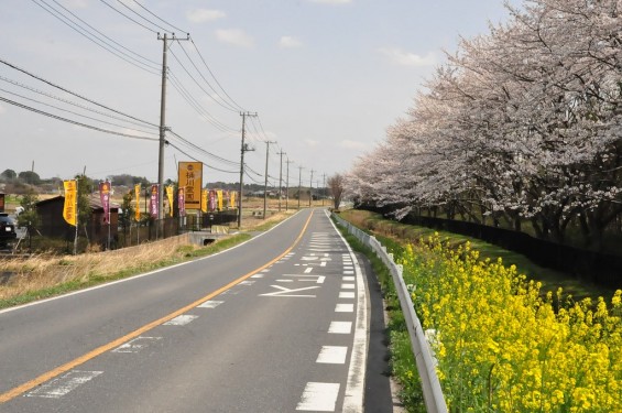 埼玉県桶川市　桶川霊園に行ってきましたDSC_0400