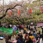20140405　東京都上野恩師公園　夜桜DSC_0015