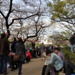 20140405　東京都上野恩師公園　夜桜DSC_0011