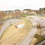 20140402　さいたま市見沼区　さいたま市営霊園の桜が満開　合祀墓DSC_0452