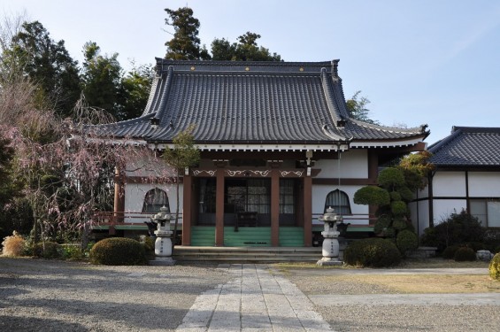 20140331 埼玉県蓮田市閏戸 秀源寺 桜満開DSC_0012