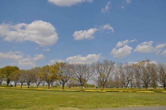 埼玉県比企郡吉見町　吉見総合運動公園DSC_0189