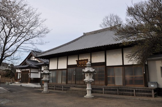 20140331 埼玉県伊奈町小針新宿 西光寺 桜満開 DSC_0092