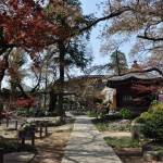 20140411　埼玉県上尾市今泉　十連寺さまの境内DSC_0113