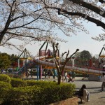 20140401　埼玉県上尾市　丸山公園の桜が満開DSC_0259