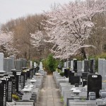 20140402　埼玉県東松山市　森林公園昭和浄苑　桜満開DSC_0615