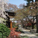 20140411　埼玉県上尾市今泉　十連寺さまの境内DSC_0147