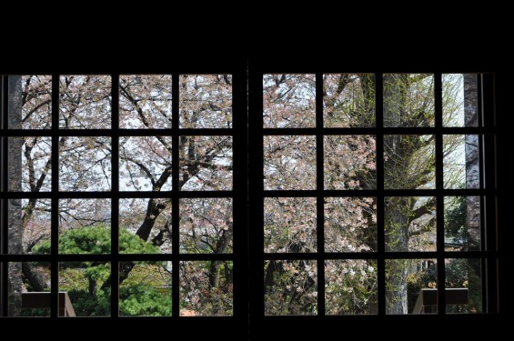 20140411　埼玉県上尾市今泉　十連寺さまの御本堂DSC_0184