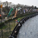 群馬県館林市の「こいのぼりの里まつり」DSC_0100