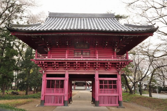 20140331 埼玉県伊奈町小針新宿 西光寺 桜満開 DSC_0160