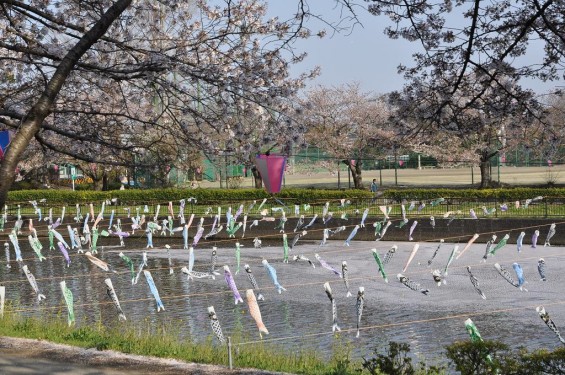 群馬県館林市の「こいのぼりの里まつり」DSC_0112