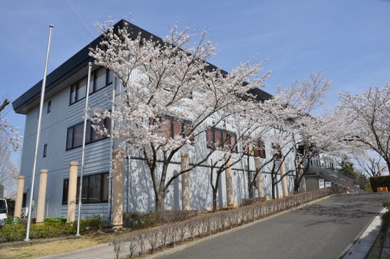 20140401　埼玉県上尾市藤波　上尾靈園の桜が満開DSC_0069