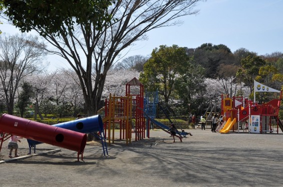 20140331 埼玉県伊奈町小針新宿 西光寺 桜満開DSC_0140