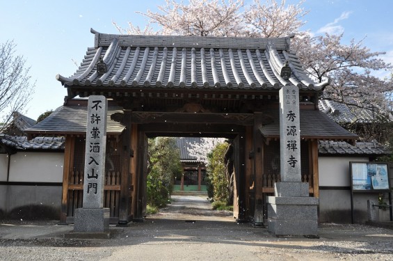 20140406　埼玉県蓮田市閏戸　秀源寺の枝垂れ桜が満開にDSC_0021