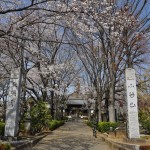 20140401 埼玉県上尾市中分 東栄寺 桜満開ですDSC_0055