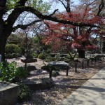 20140411　埼玉県上尾市今泉　十連寺さまの境内DSC_0105