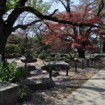 20140411　埼玉県上尾市今泉　十連寺さまの境内DSC_0105