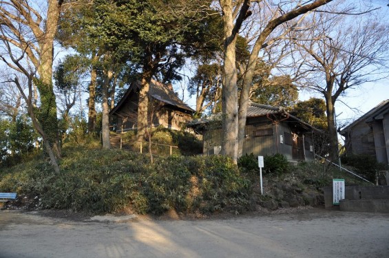 埼玉県川口市　赤山城（赤山陣屋）DSC_0125