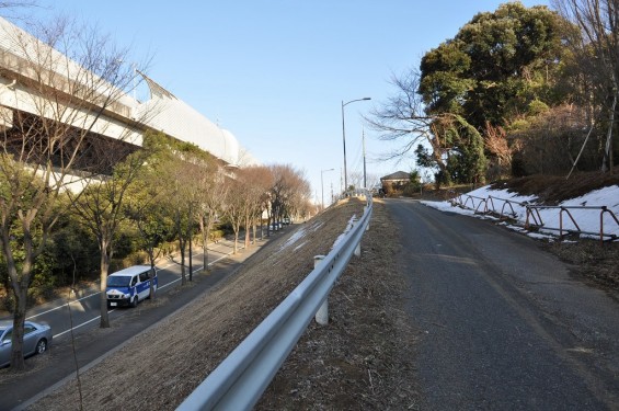 埼玉県川口市　赤山城（赤山陣屋）DSC_0098