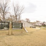 20140402　さいたま市見沼区　さいたま市営霊園の桜が満開　合祀墓DSC_0448