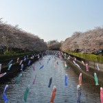 群馬県館林市の「こいのぼりの里まつり」DSC_0067