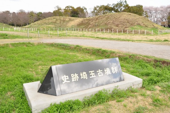 20140404　埼玉県さきたま緑道の桜DSC_0330